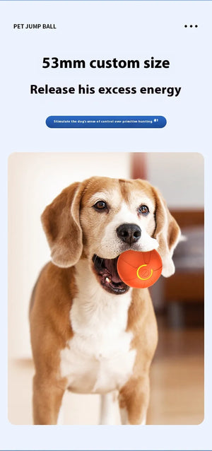 Pets Electric Jumping Ball Automatic Dog-teasing Luminous Pet Products Pets Dogs Training Products Ball Toys For Dogs Resistance